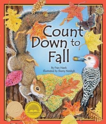 Vorderes Coverbild Count Down to Fall