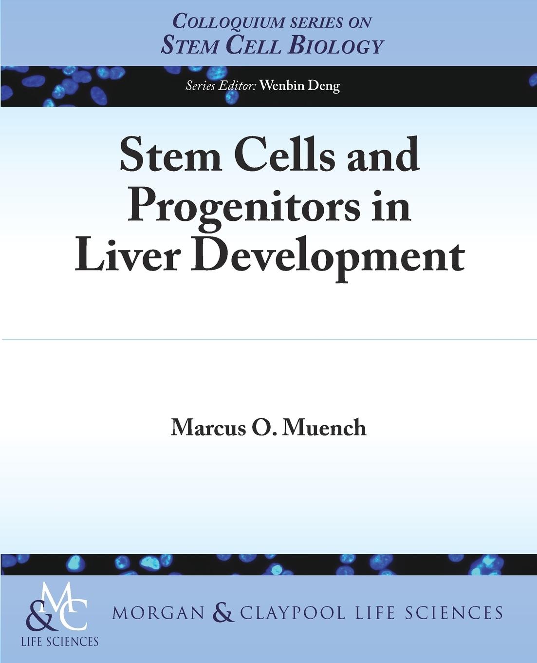 Vorderes Coverbild Stem Cells and Progenitors in Liver Development