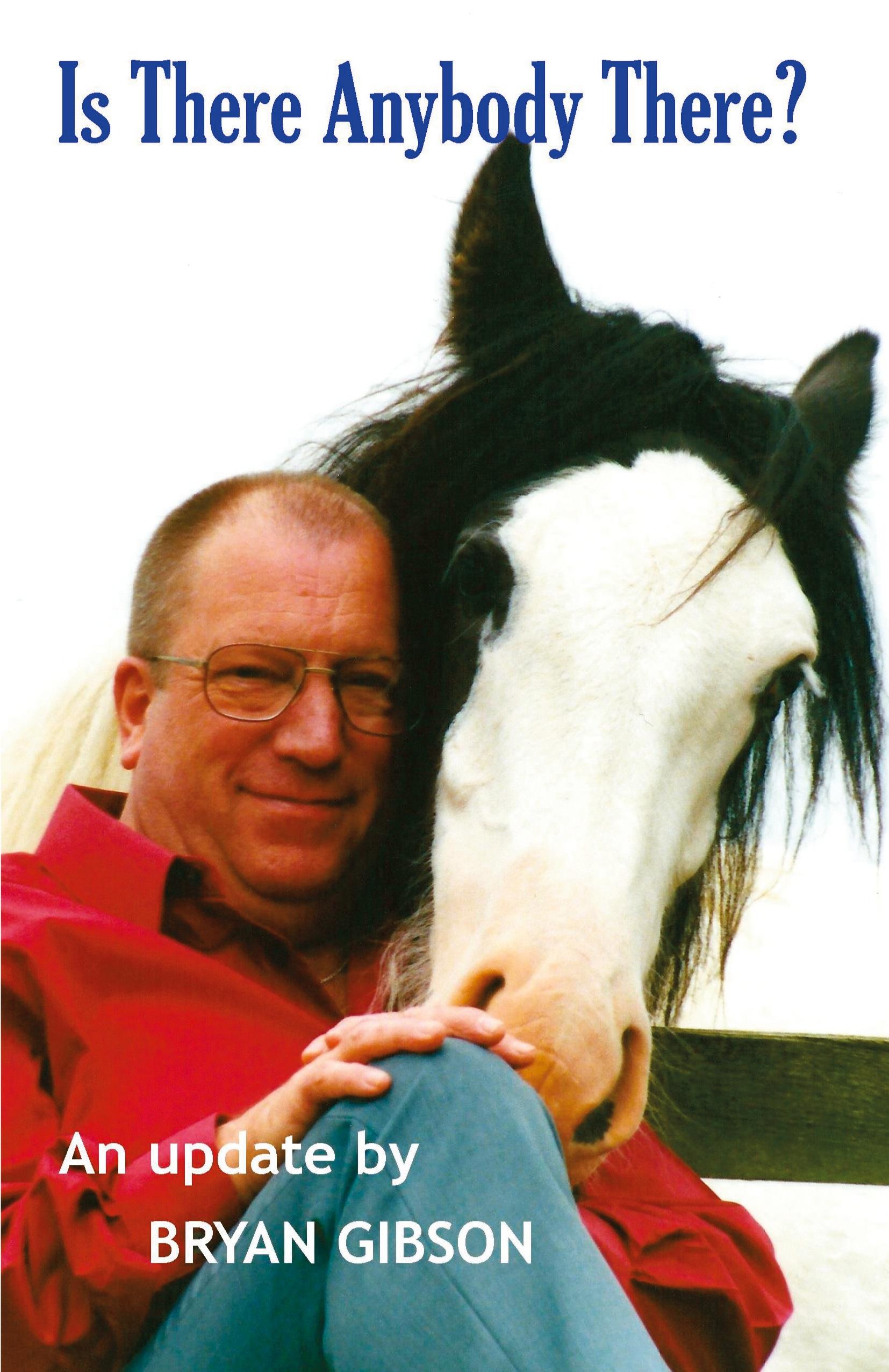 Vorderes Coverbild Is There Anybody There? - An Update