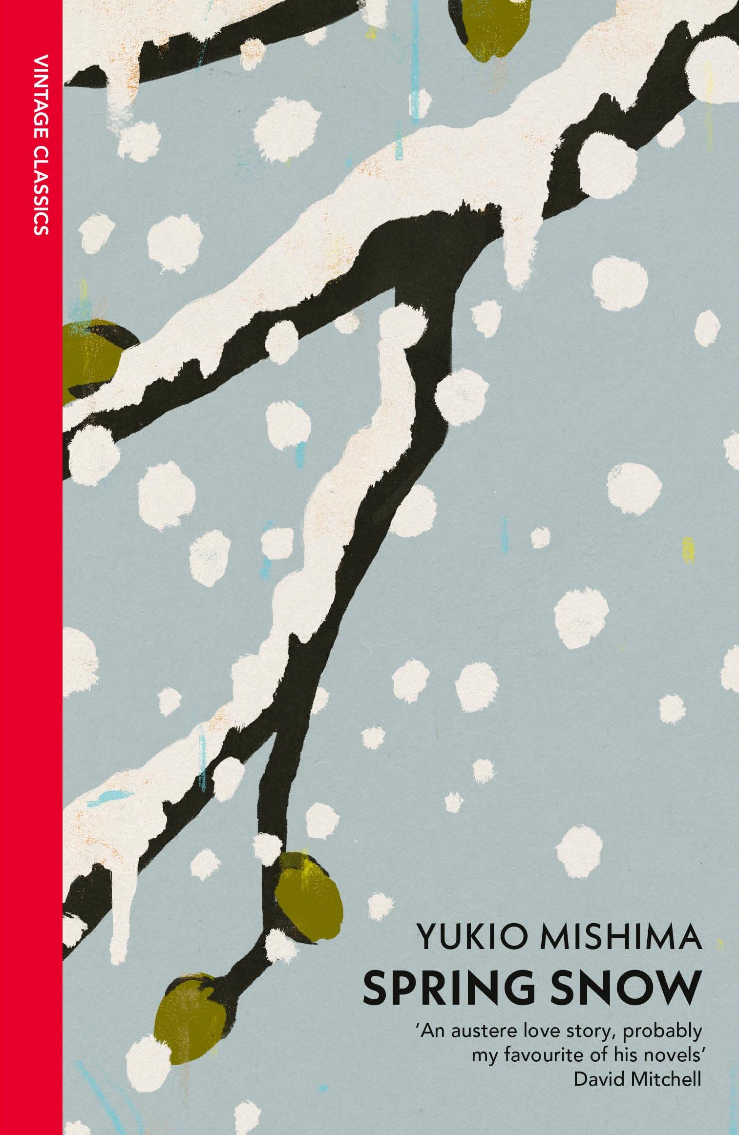 Vorderes Coverbild Spring Snow