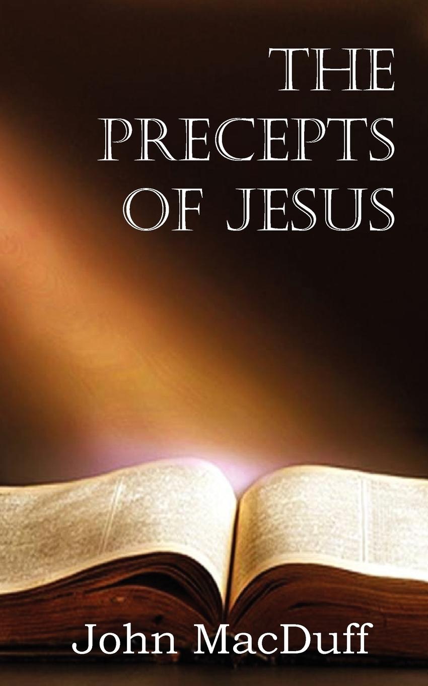 Vorderes Coverbild The Precepts of Jesus
