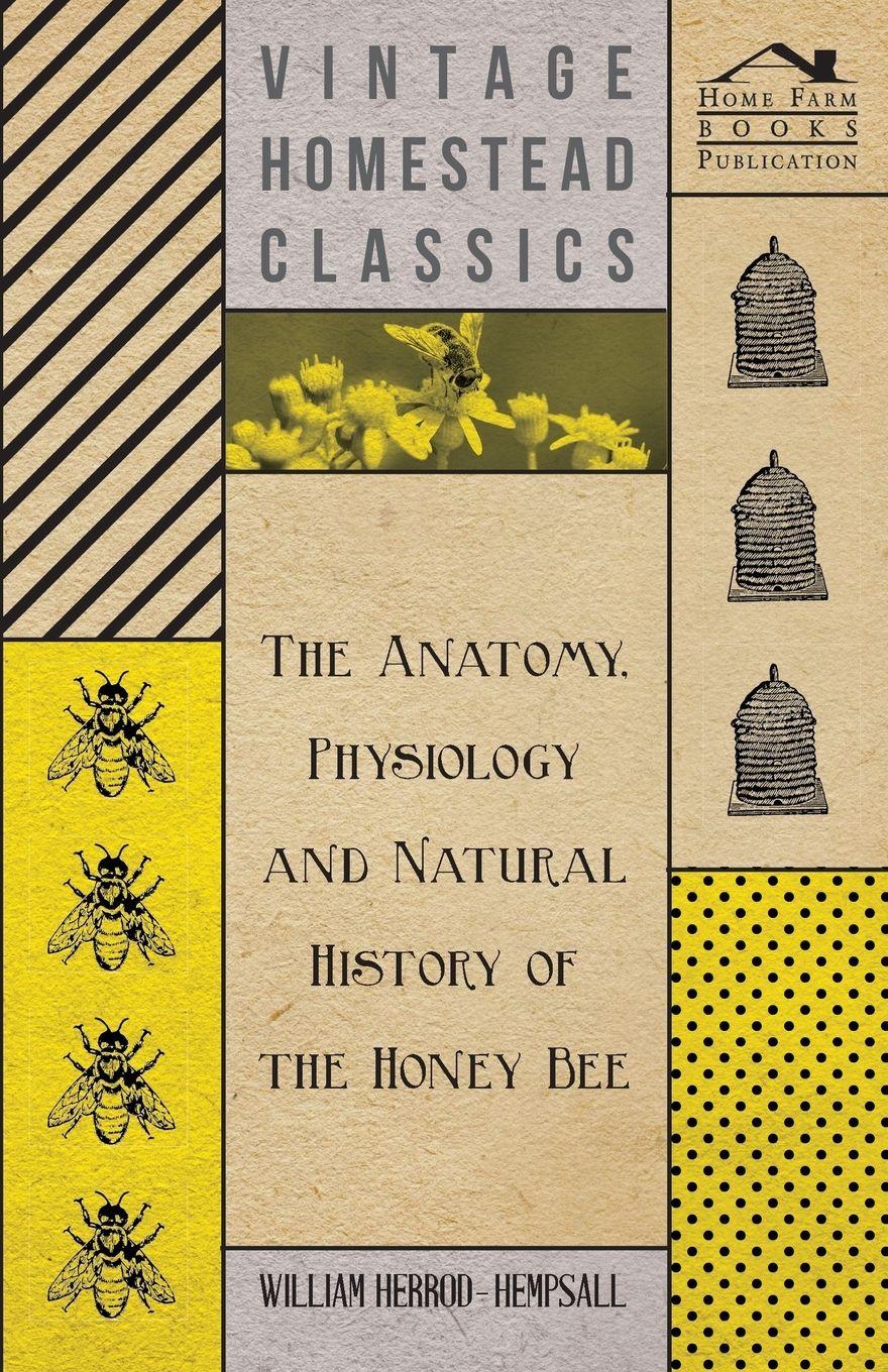 Vorderes Coverbild The Anatomy, Physiology and Natural History of the Honey Bee