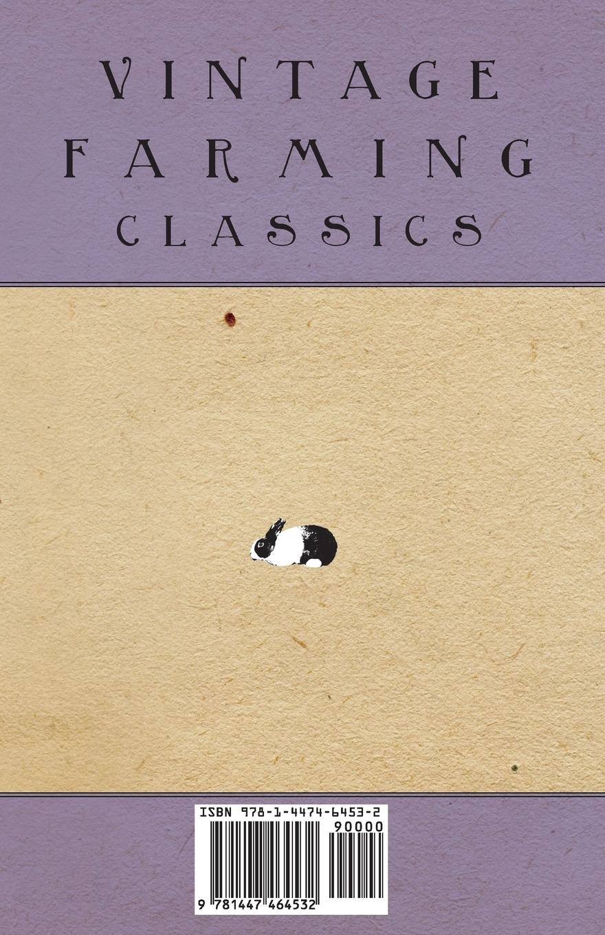 Rückseitencover The Havana and Havana-Rex Rabbit