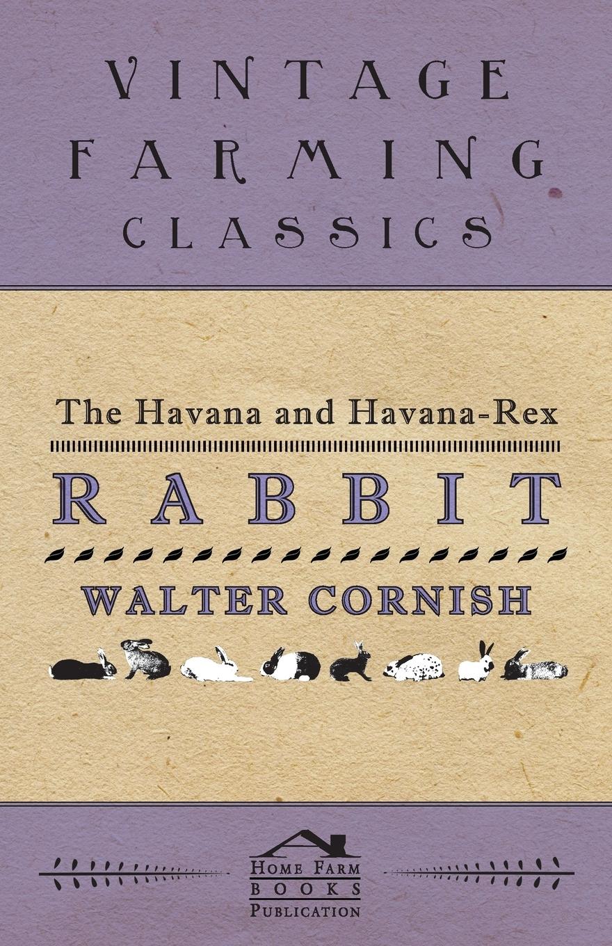 Vorderes Coverbild The Havana and Havana-Rex Rabbit