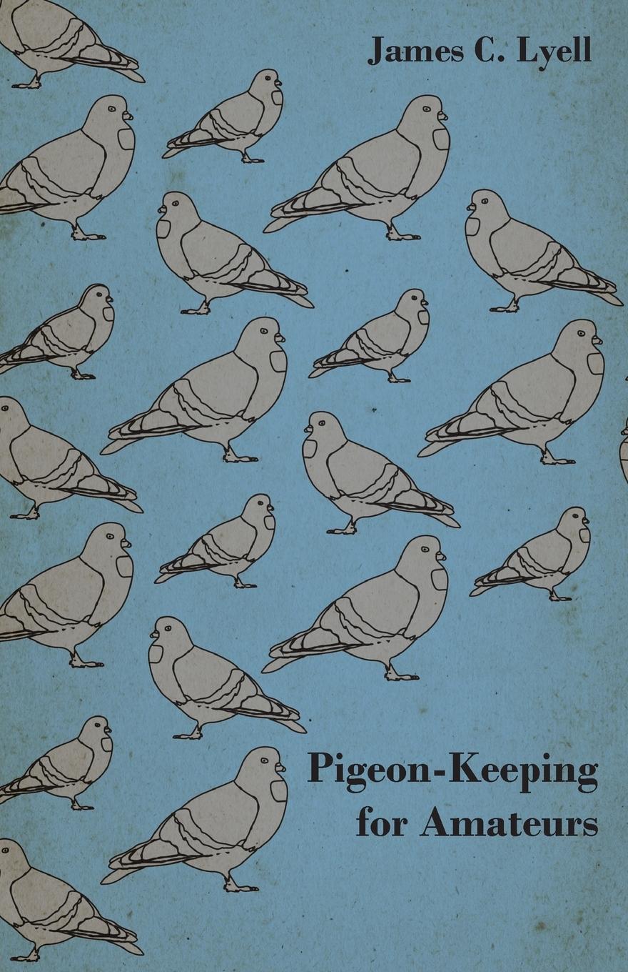 Vorderes Coverbild Pigeon-Keeping for Amateurs - A Complete and Concise Guide to the Amateur Breeder of Domestic and Fancy Pigeons