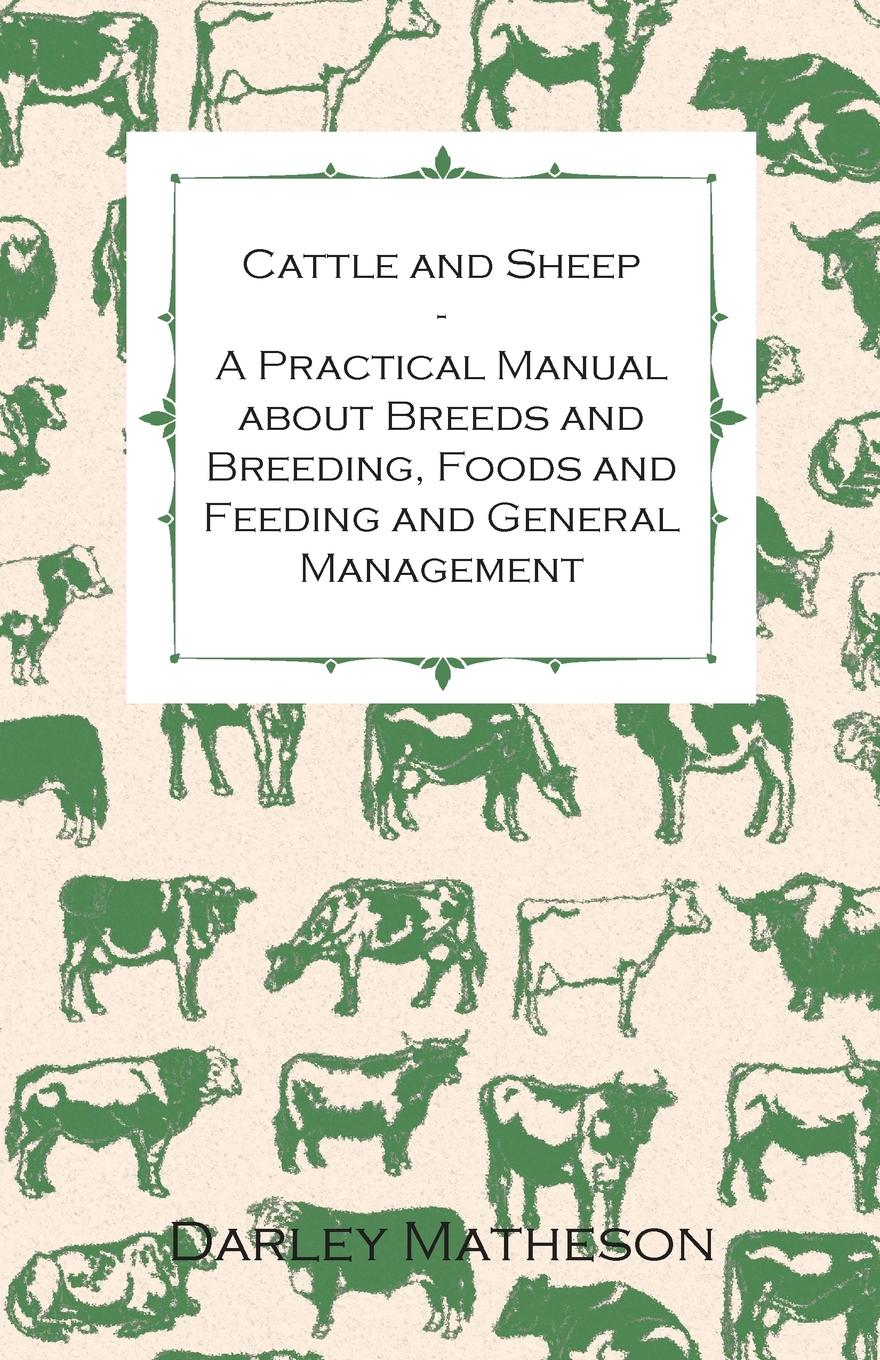 Vorderes Coverbild Cattle and Sheep - A Practical Manual about Breeds and Breeding, Foods and Feeding and General Management