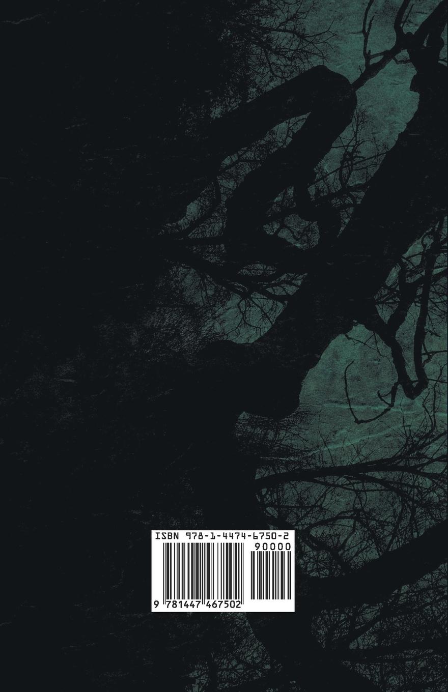 Rückseitencover The Great Keinplatz Experiment and Other Tales of Twilight and the Unseen (1919)