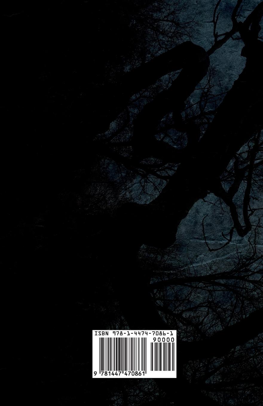 Rückseitencover Mrs. Zant and the Ghost ('The Ghost's Touch') (Fantasy and Horror Classics)