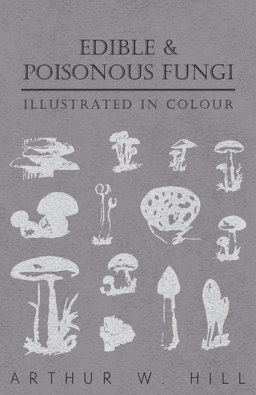 Vorderes Coverbild Edible and Poisonous Fungi - Illustrated in Colour