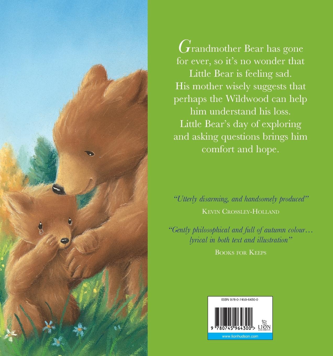 Rückseitencover Are You Sad, Little Bear?