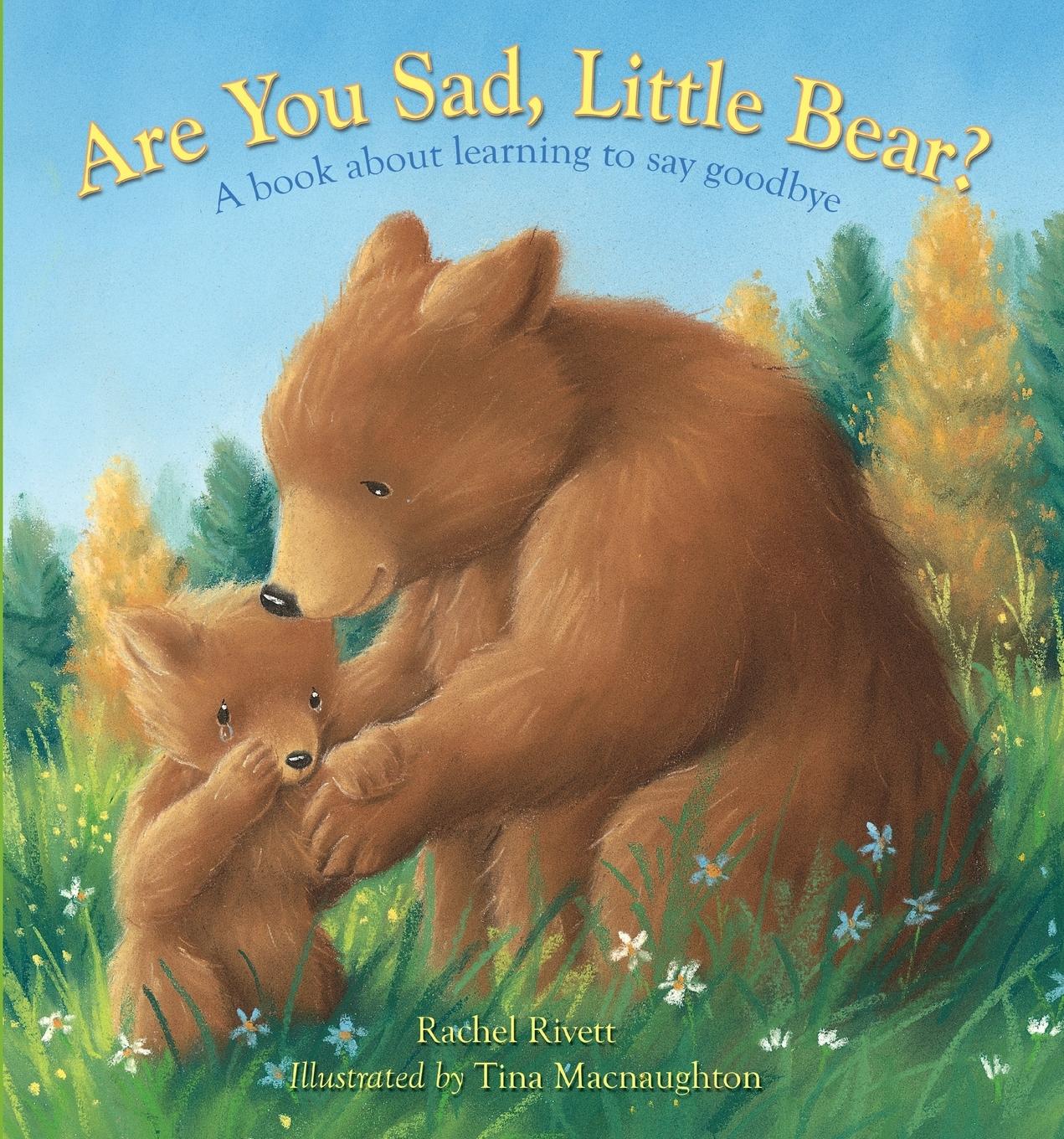 Vorderes Coverbild Are You Sad, Little Bear?