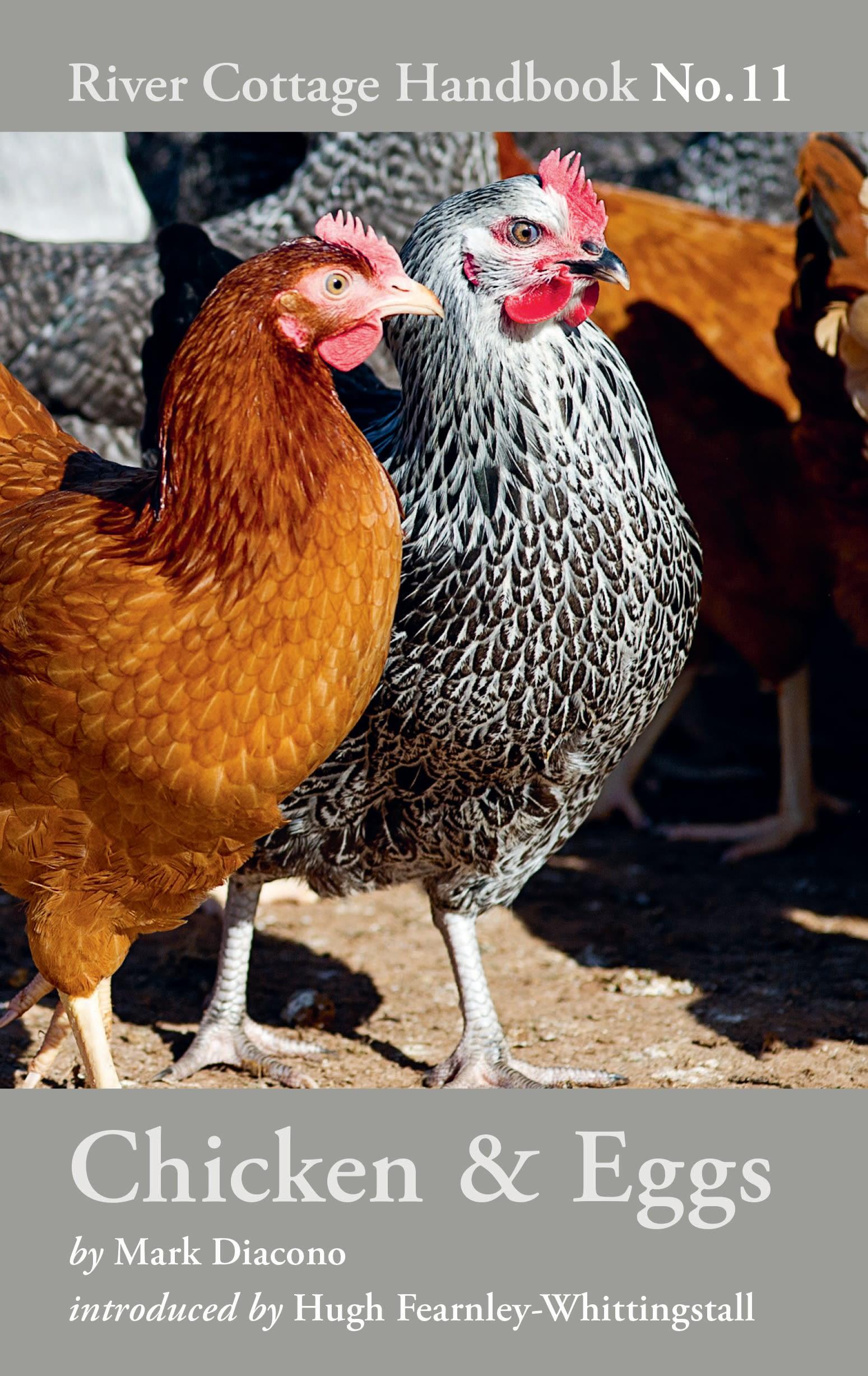 Vorderes Coverbild Chicken & Eggs