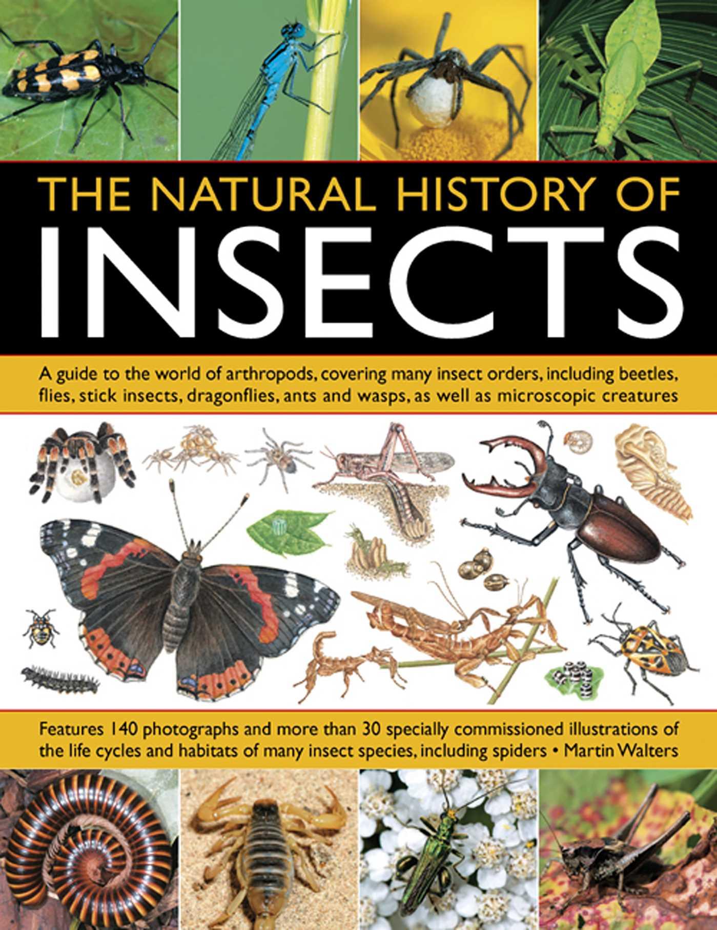 Vorderes Coverbild The Natural History of Insects