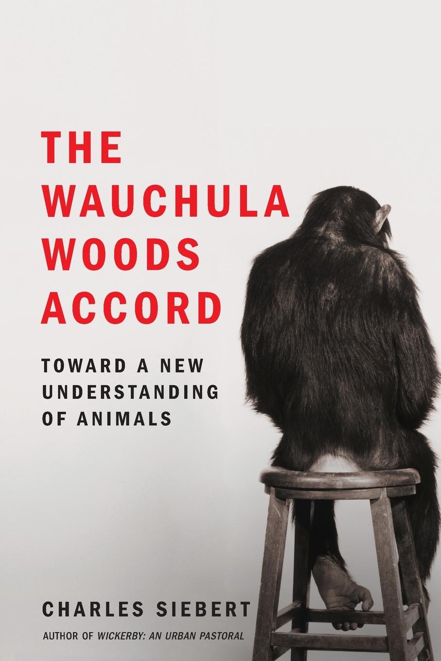 Vorderes Coverbild WAUCHULA WOODS ACCORD
