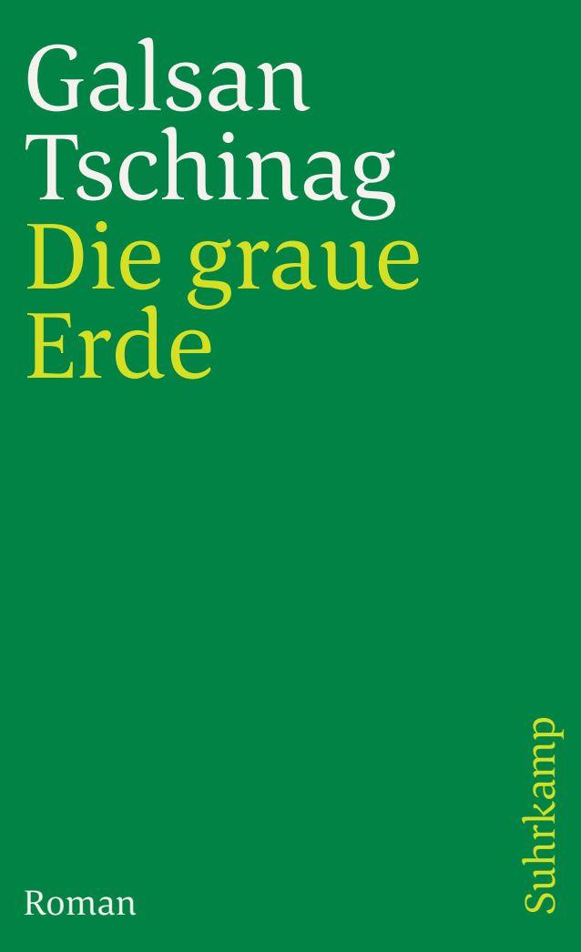 Vorderes Coverbild Die graue Erde
