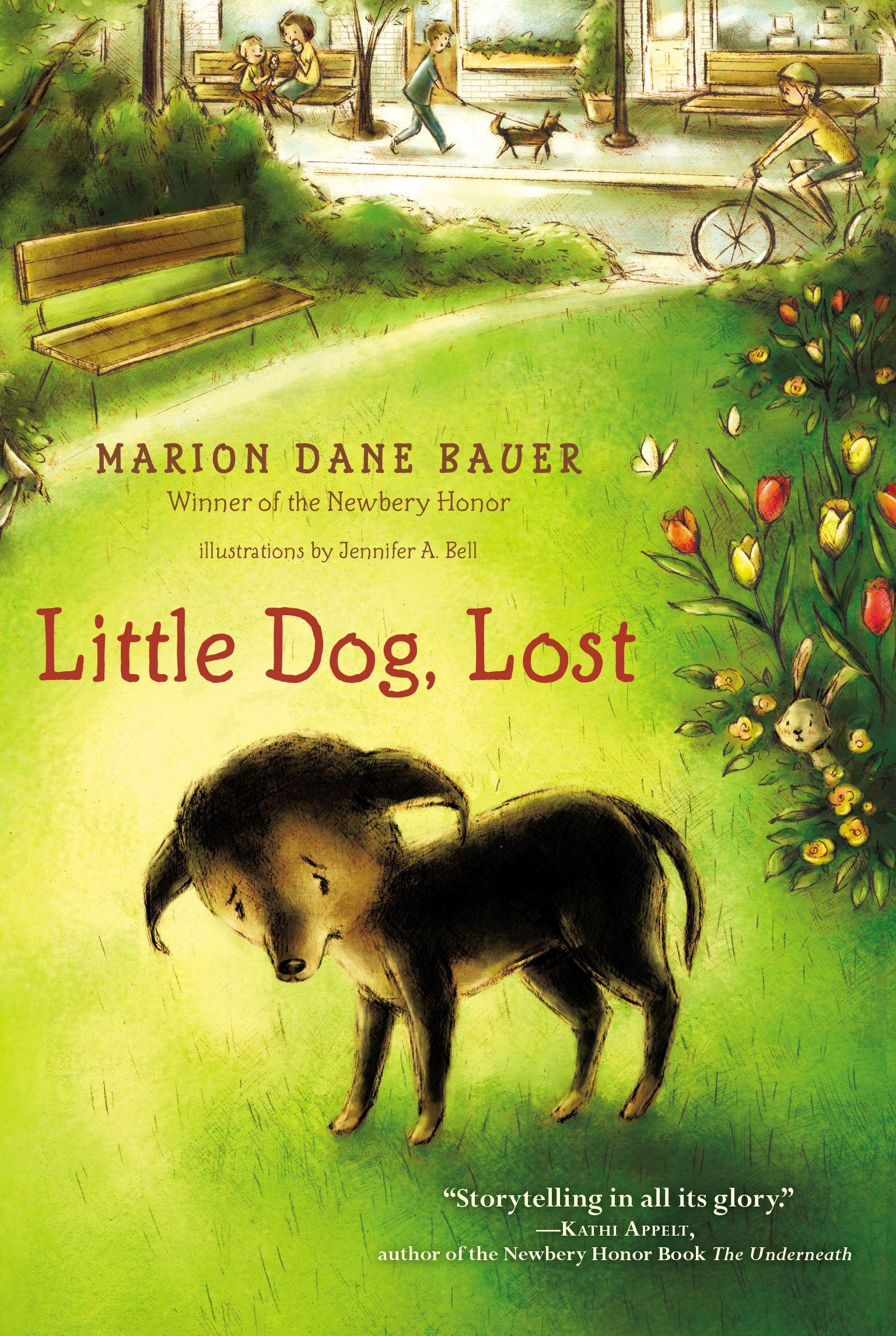 Vorderes Coverbild Little Dog, Lost