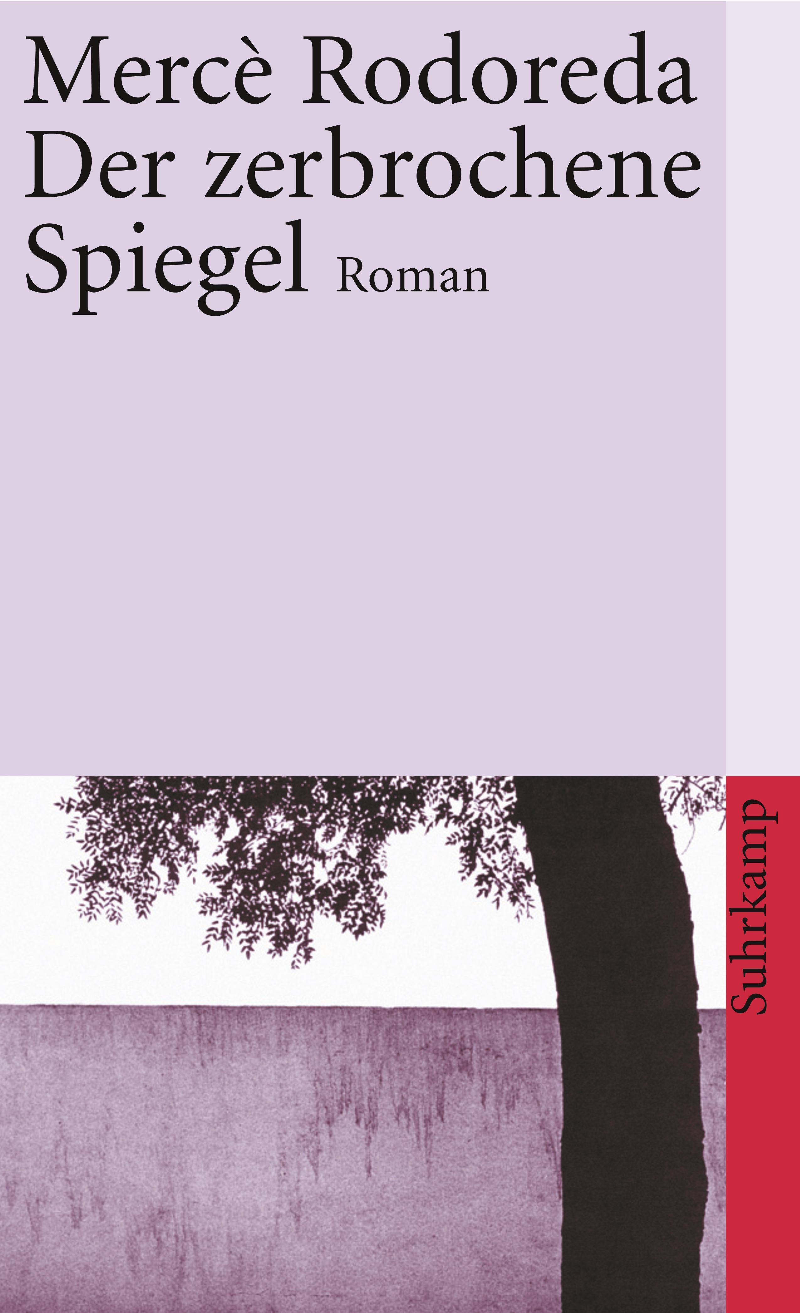 Vorderes Coverbild Der zerbrochene Spiegel