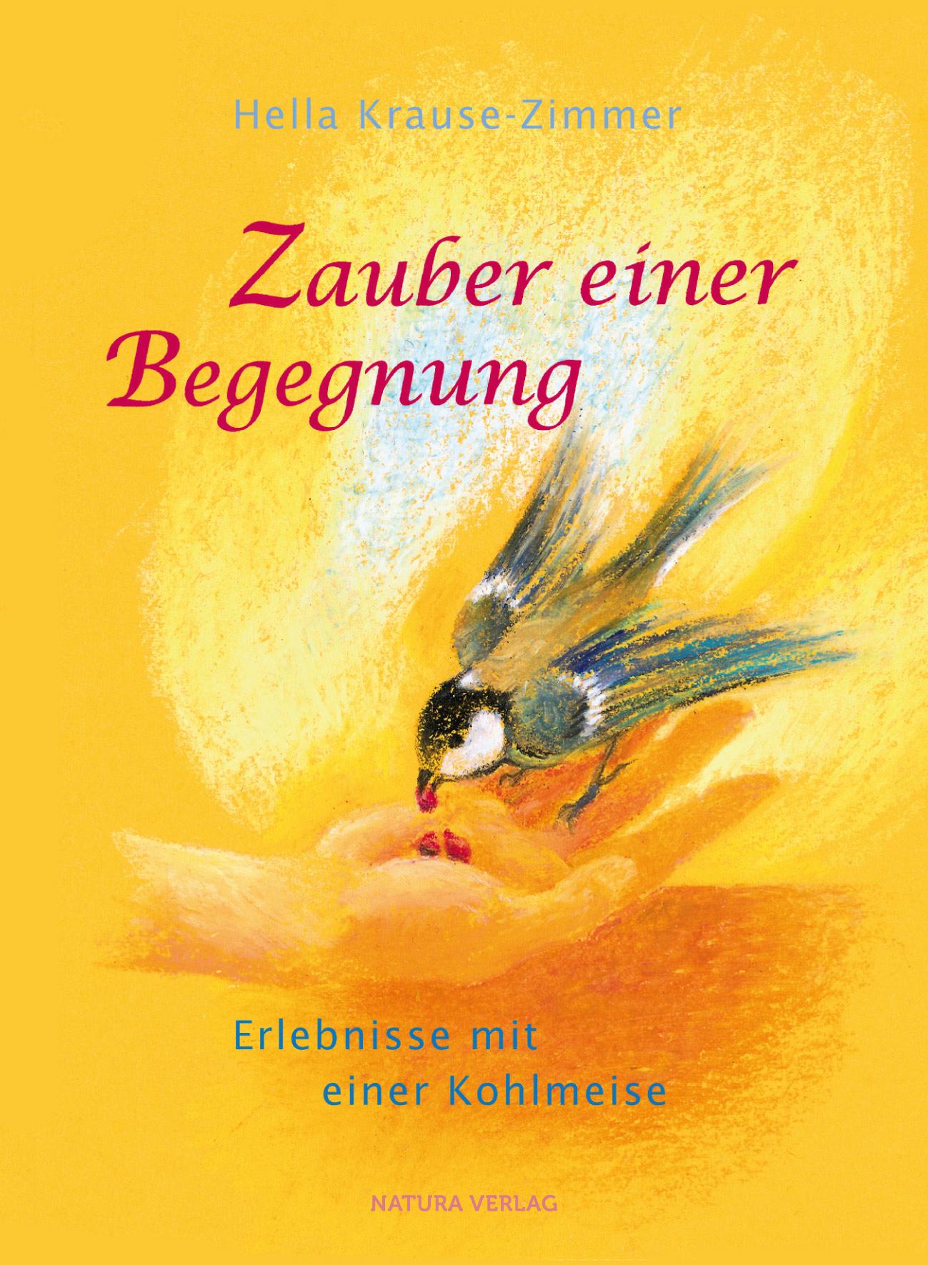 Vorderes Coverbild Zauber einer Begegnung