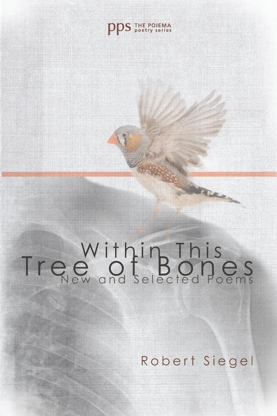 Vorderes Coverbild Within This Tree of Bones