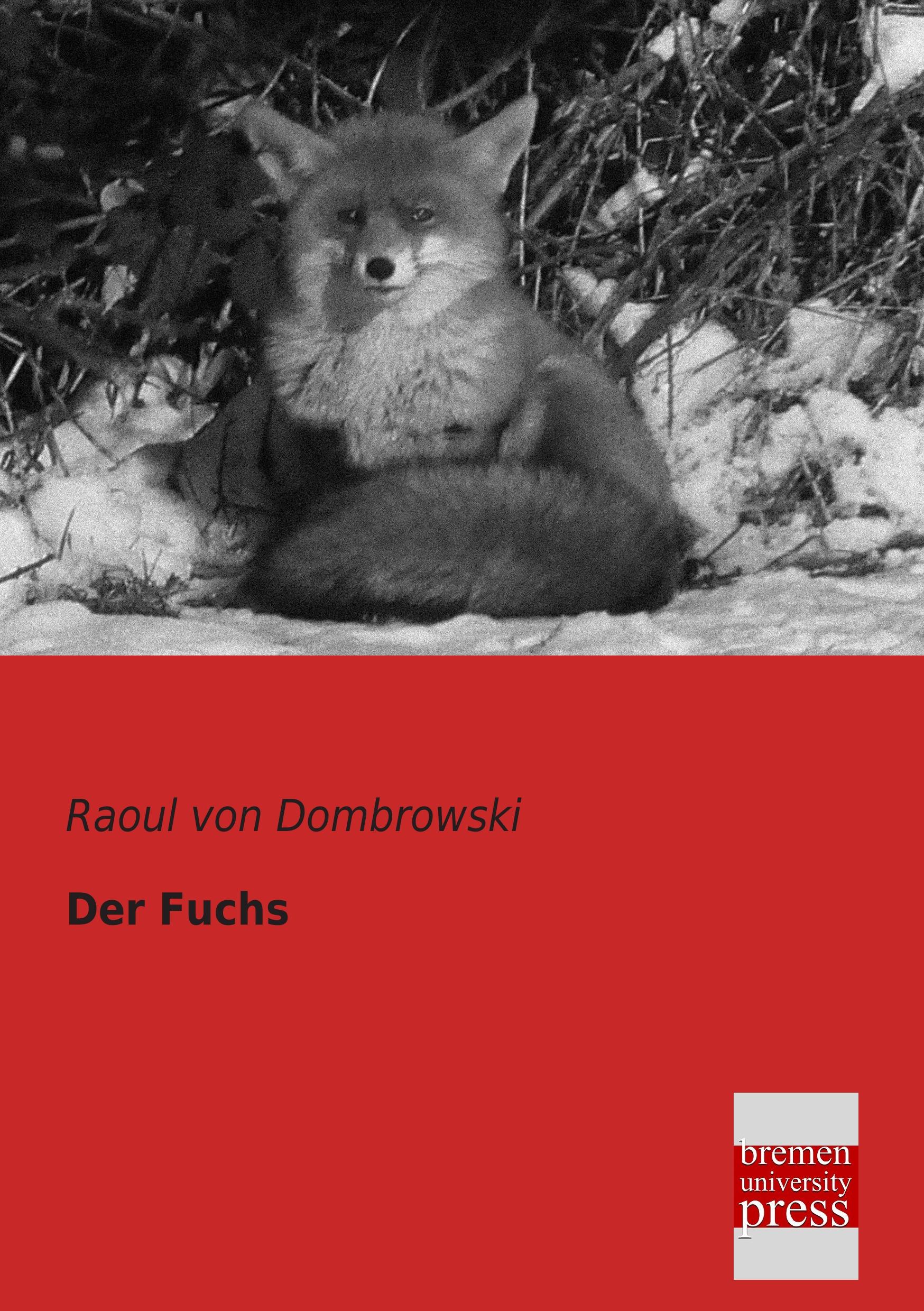 Vorderes Coverbild Der Fuchs