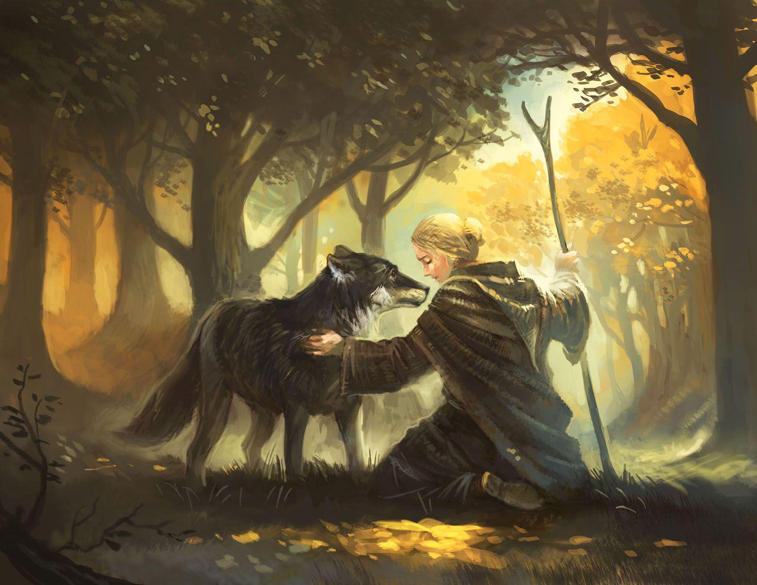 Beispielinhalt (Bild) Die Legenden von Andor - Erweiterung - Der Sternenschild