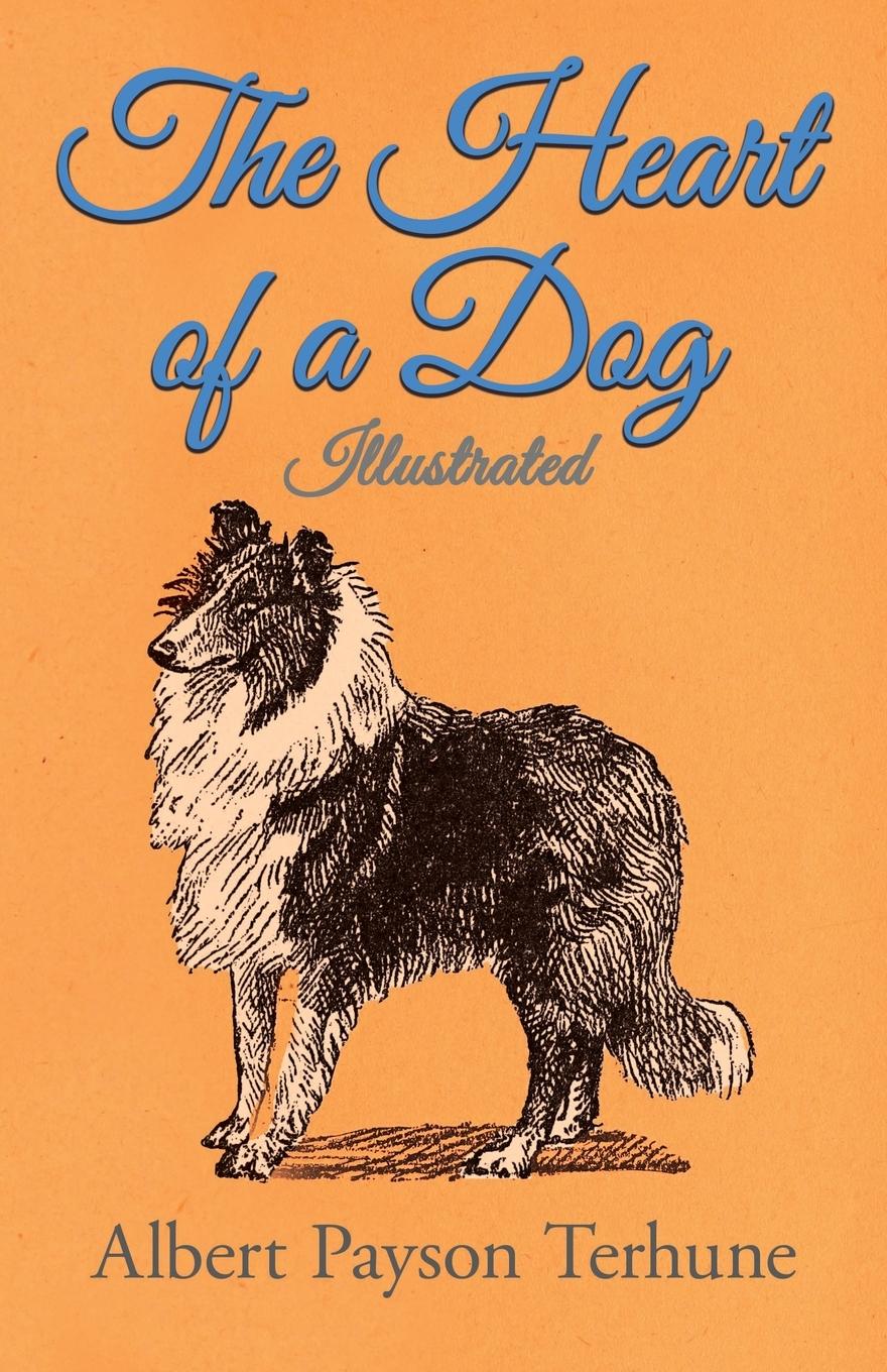 Vorderes Coverbild The Heart of a Dog - Illustrated