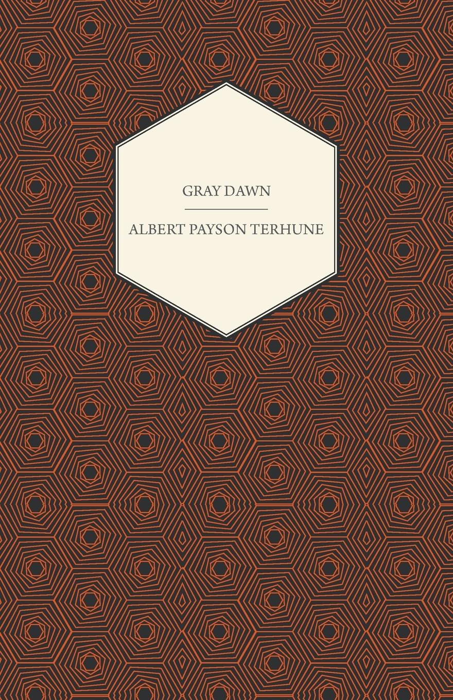 Vorderes Coverbild Gray Dawn