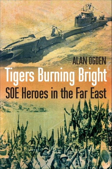 Vorderes Coverbild Tigers Burning Bright