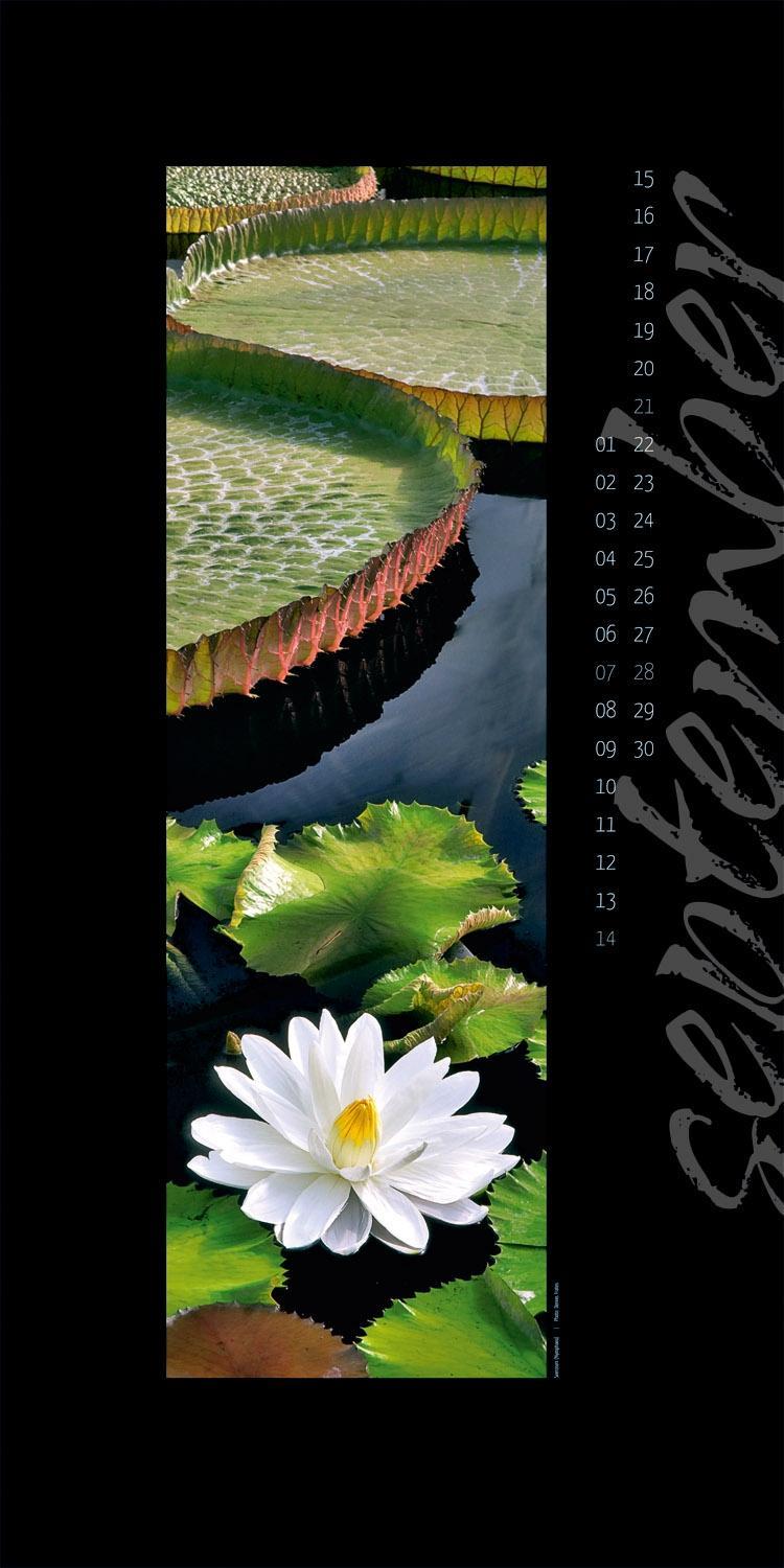 Beispielinhalt (Bild) Nature in Focus 2014