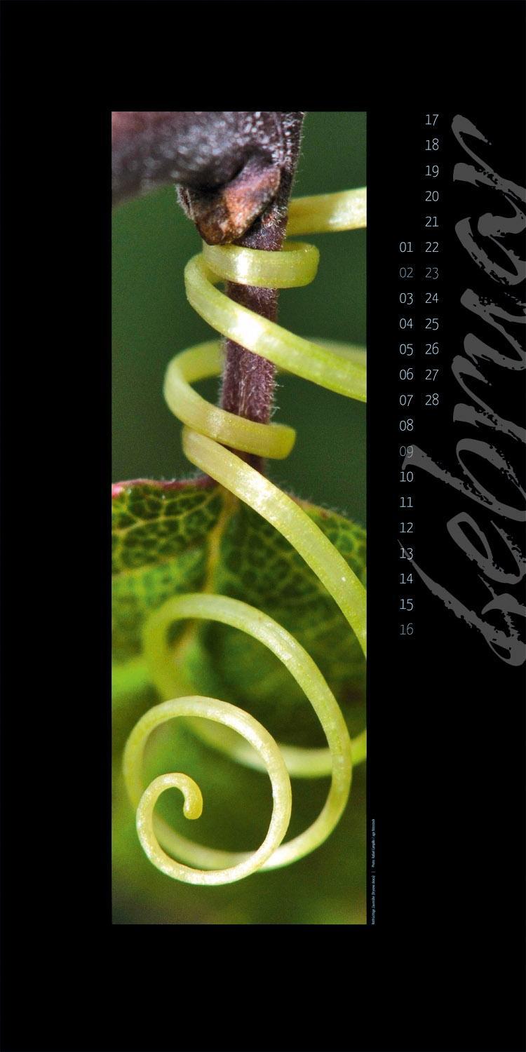 Beispielinhalt (Bild) Nature in Focus 2014