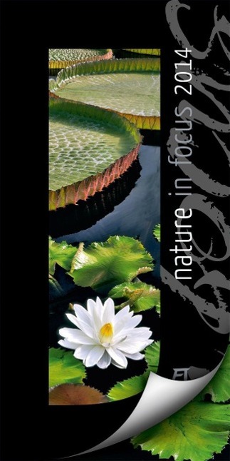 Vorderes Coverbild Nature in Focus 2014