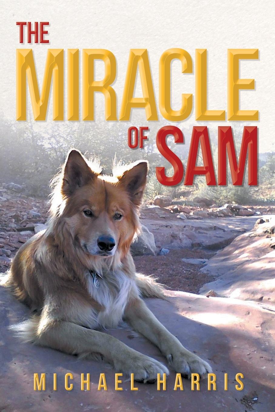 Vorderes Coverbild The Miracle of Sam