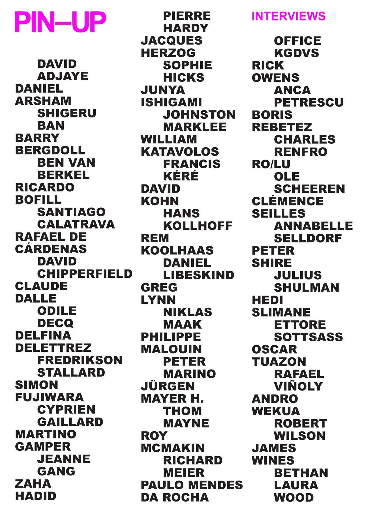 Vorderes Coverbild Pin-Up Interviews