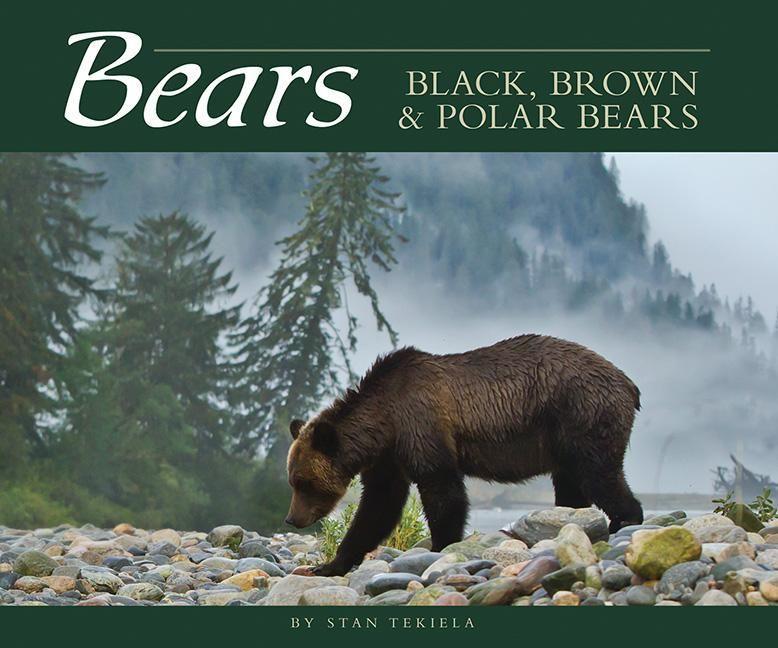 Vorderes Coverbild Bears