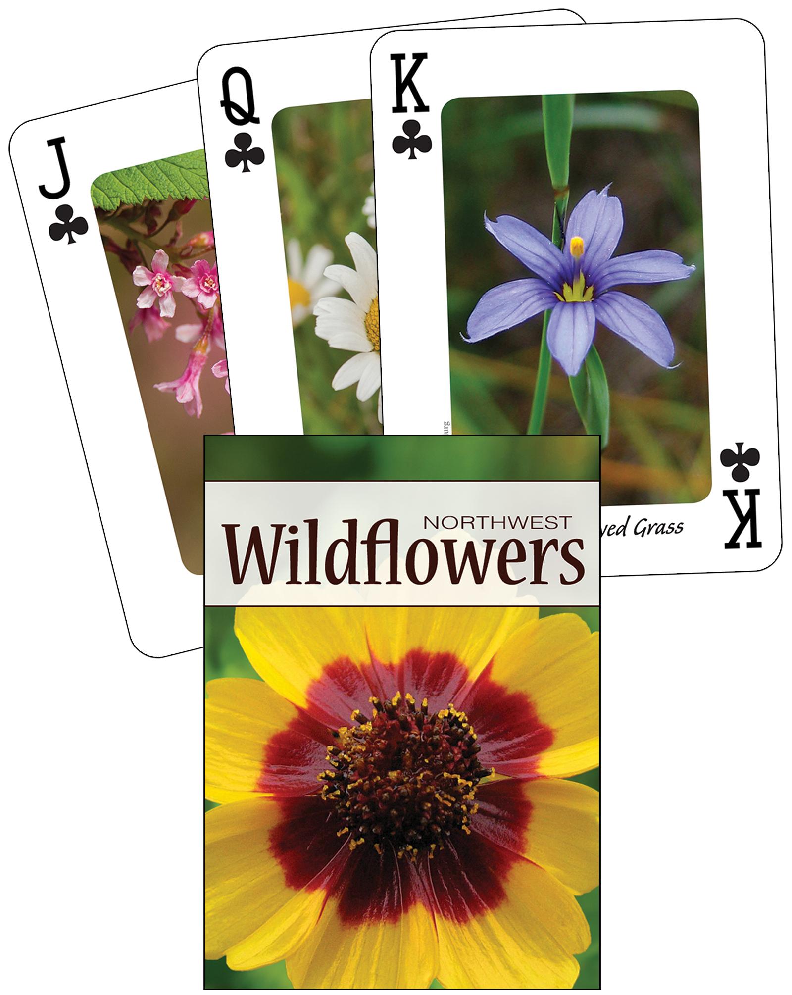 Vorderes Coverbild Wildflowers of the Northwest Playing Cards