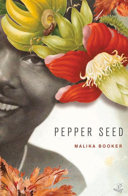 Vorderes Coverbild Pepper Seed
