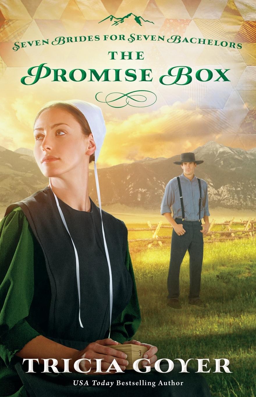 Vorderes Coverbild The Promise Box