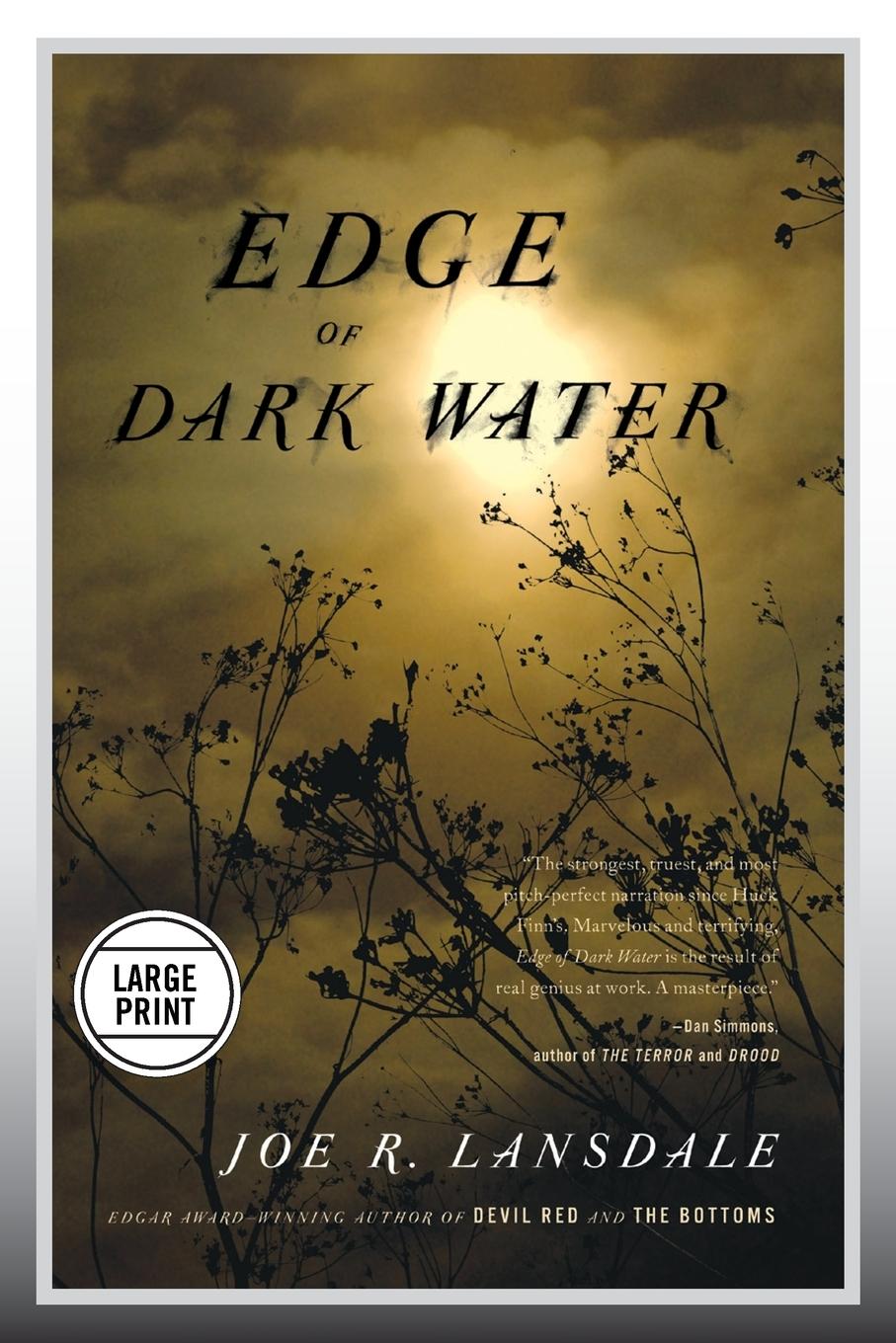 Vorderes Coverbild Edge of Dark Water