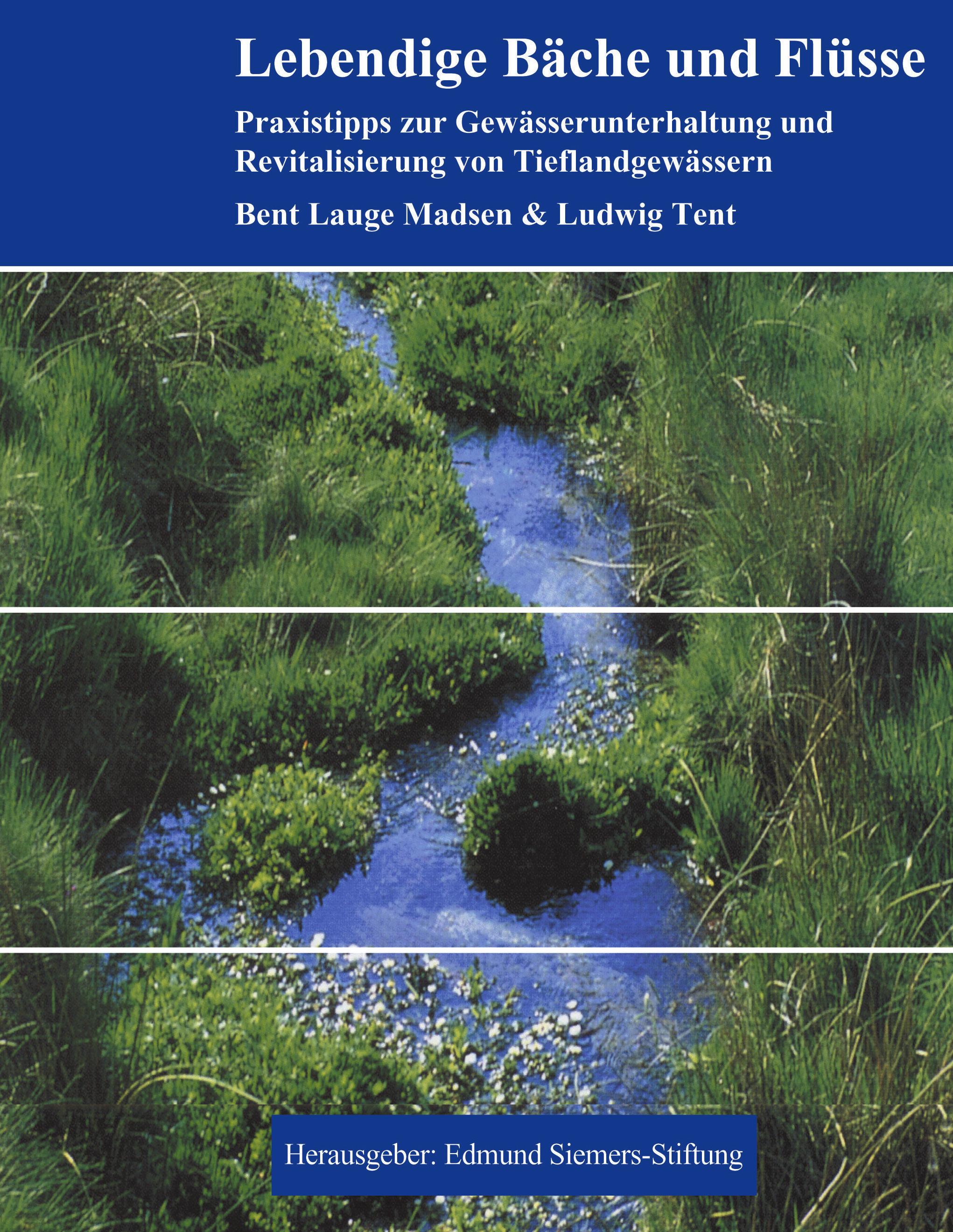 Vorderes Coverbild Lebendige Bäche und Flüsse