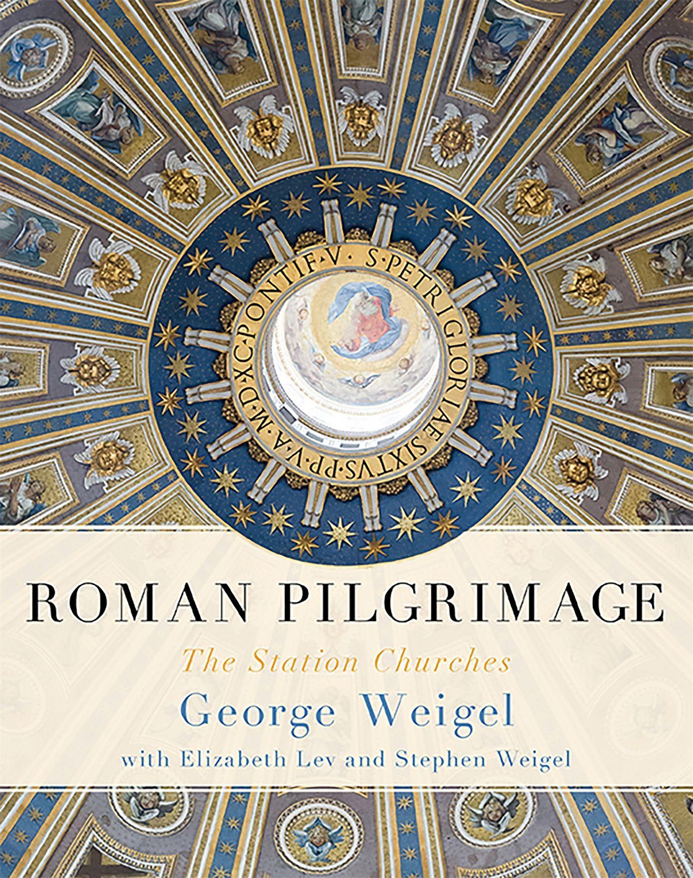 Vorderes Coverbild Roman Pilgrimage