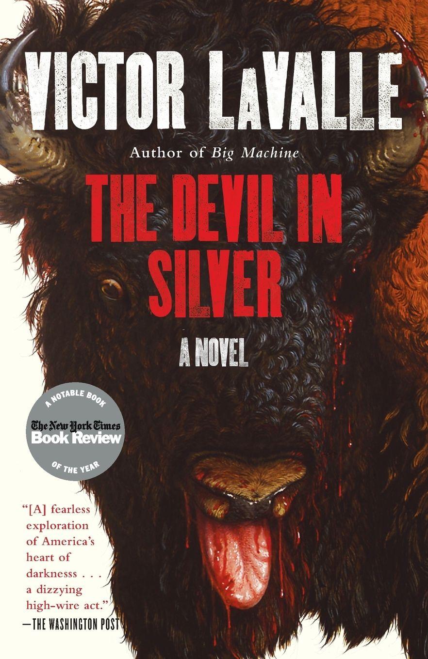 Vorderes Coverbild The Devil in Silver