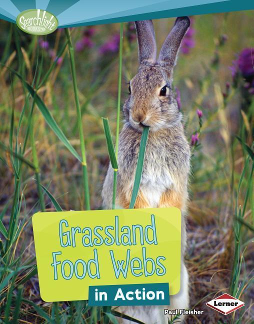 Vorderes Coverbild Grassland Food Webs in Action