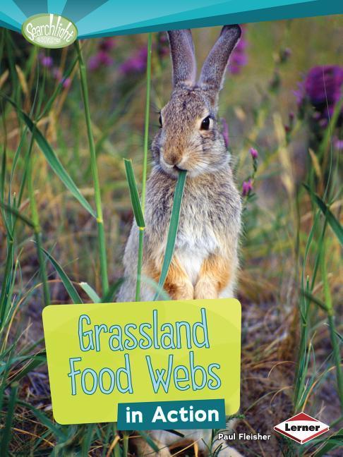 Vorderes Coverbild Grassland Food Webs in Action