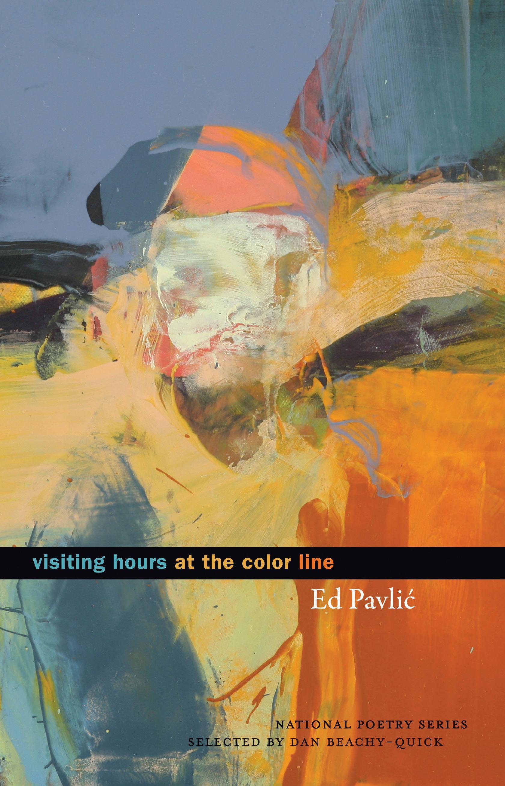 Vorderes Coverbild Visiting Hours at the Color Line
