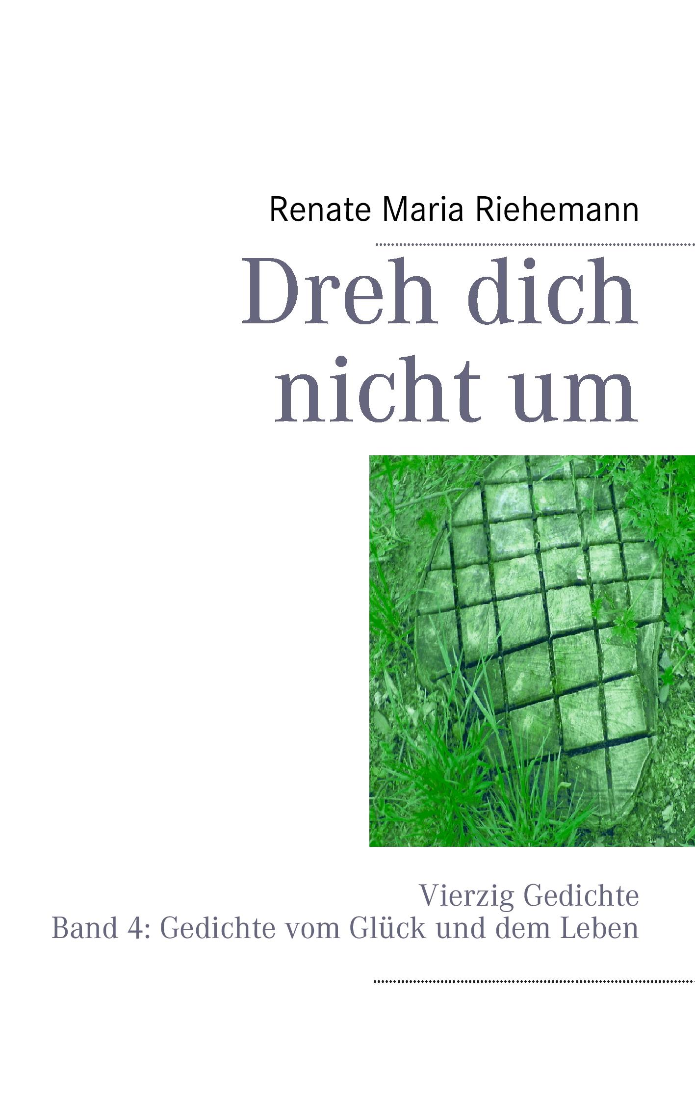 Vorderes Coverbild Dreh dich nicht um