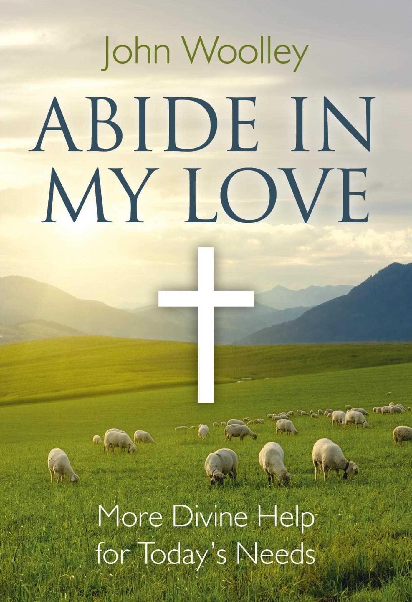 Vorderes Coverbild Abide in My Love