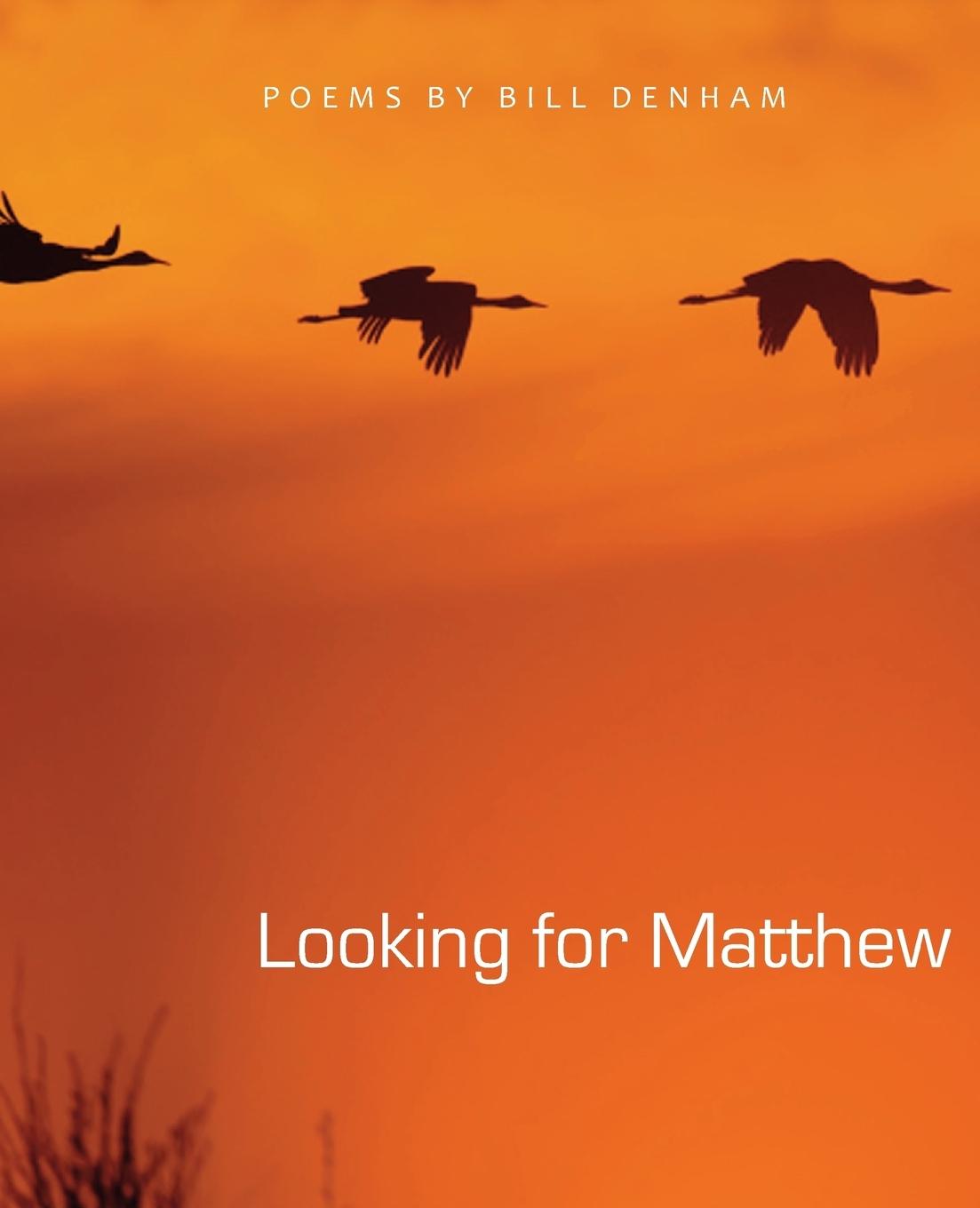 Vorderes Coverbild Looking for Matthew