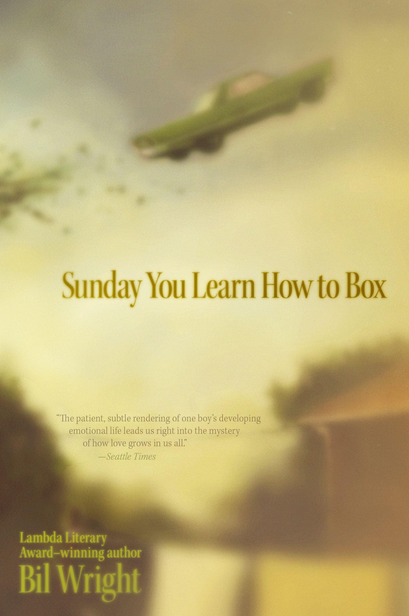 Vorderes Coverbild Sunday You Learn How to Box