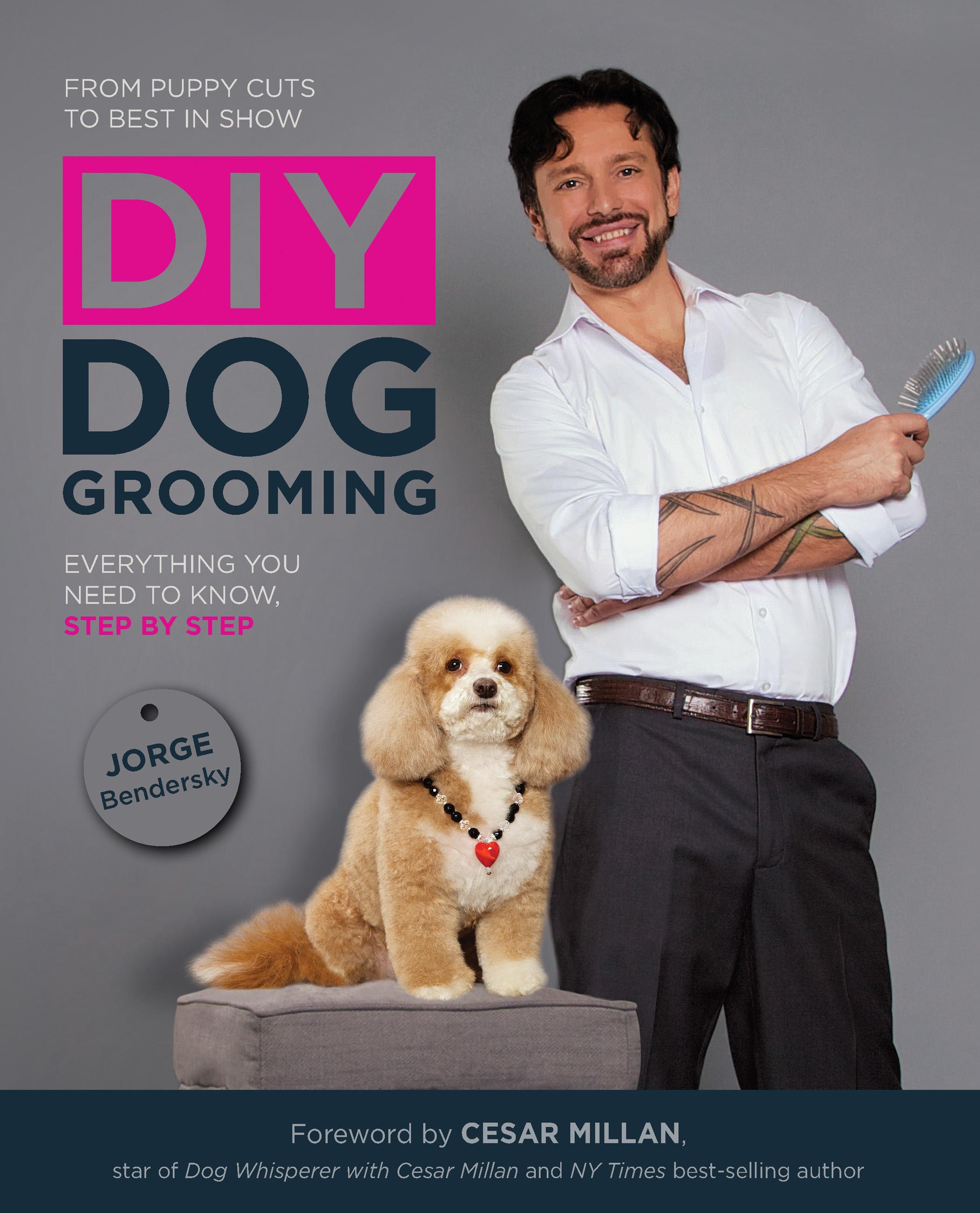 Vorderes Coverbild DIY Dog Grooming
