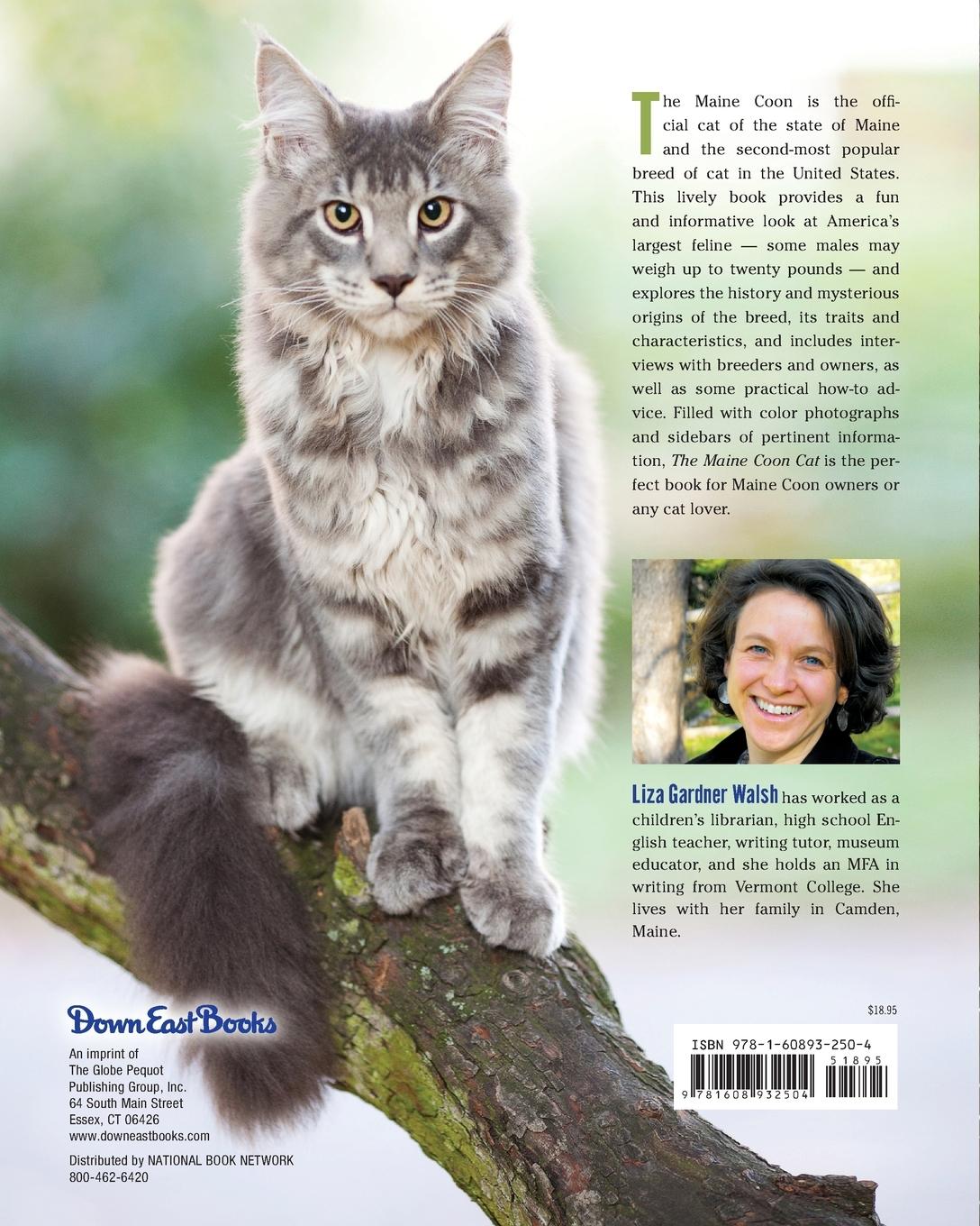 Rückseitencover The Maine Coon Cat